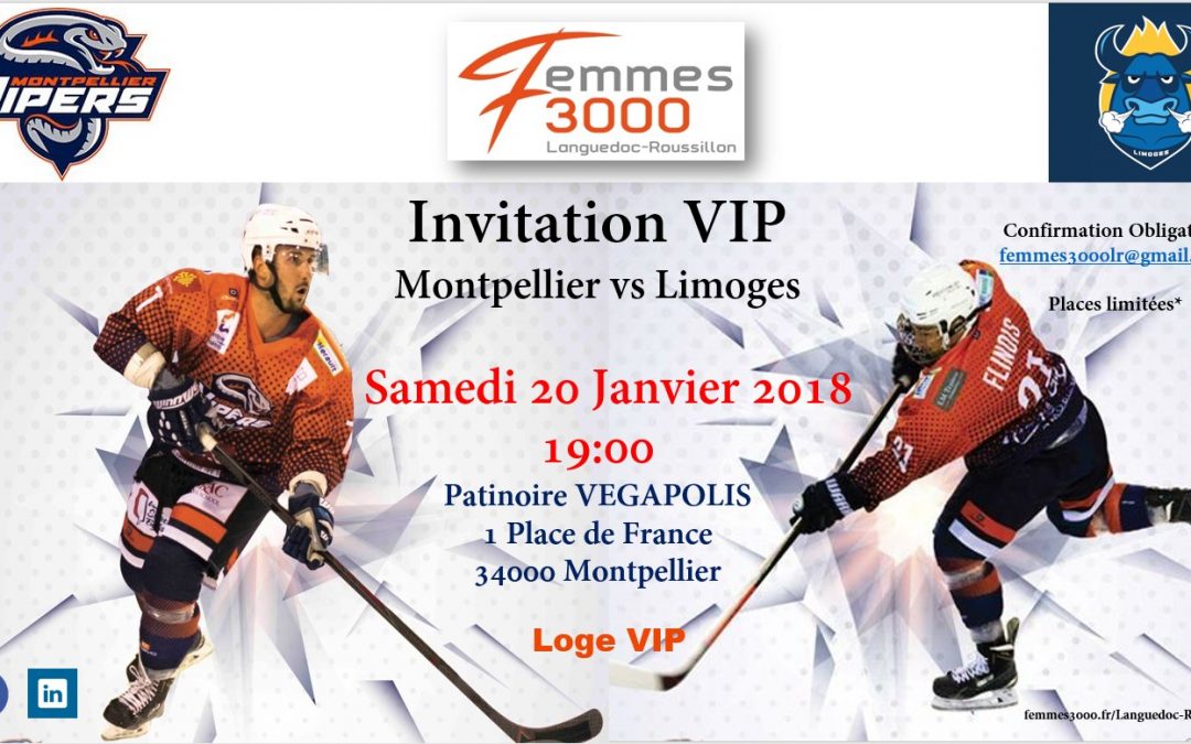 Hockey sur glace à la patinoire VEGAPOLIS de Montpellier