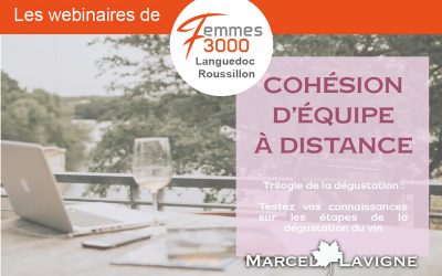 Webinaire : trilogie de la dégustation du vin