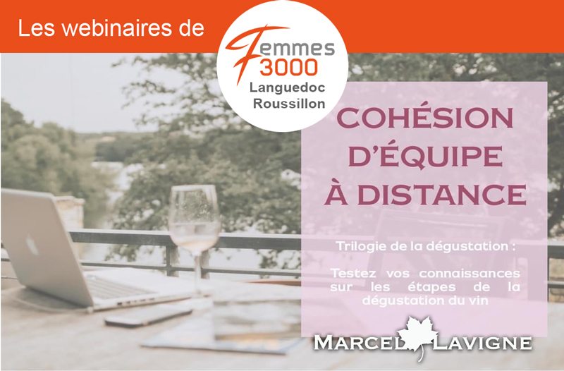 Webinaire : trilogie de la dégustation du vin