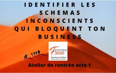 Conférence Interactive- Développer son business Acte 1, le 12 octobre avec Antenne Salon de Provence