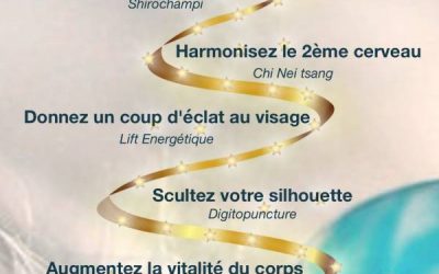 Bonnes Fêtes de fin d&rsquo;année