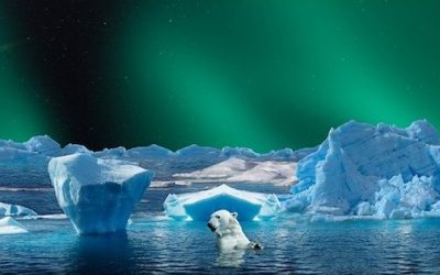 Comment conjuguer le leadership, les femmes et l’environnement Le 10 mai avec Femmes 3000 BDR