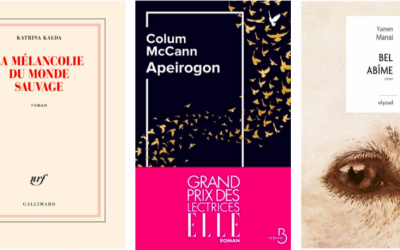 Prochain Comité de Lecture le 28 Janvier 2022 en direct de la Librairie La Vagabonde !