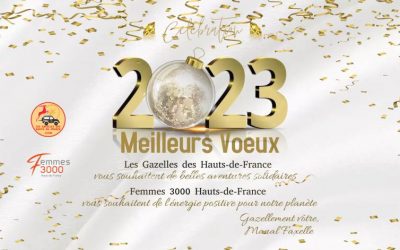 Meilleurs Voeux 2023