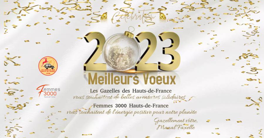 Meilleurs Voeux 2023
