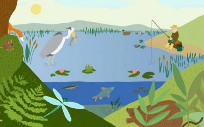 L’Écologie à l&rsquo;honneur pour ce 1er semestre EDD