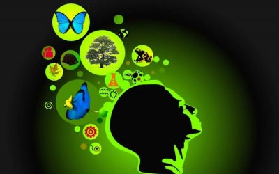 Le Bio-Mimetisme : Une science éco-vertueuse pour une nouvelle façon d’innover et de produire.