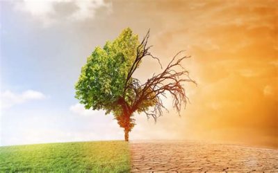 Cop Green Femmes 3000 HDF (St Quentin) : Le climat change, soyons tous acteurs ! – Étape 2