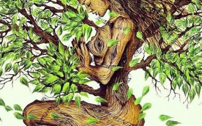 Les femmes engagées pour la biodiversité à travers l’Histoire